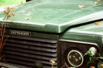 Close-up view of the front grille and headlight of a green Land Rover Defender with some dried plants and a few scattered leaves on the hood.