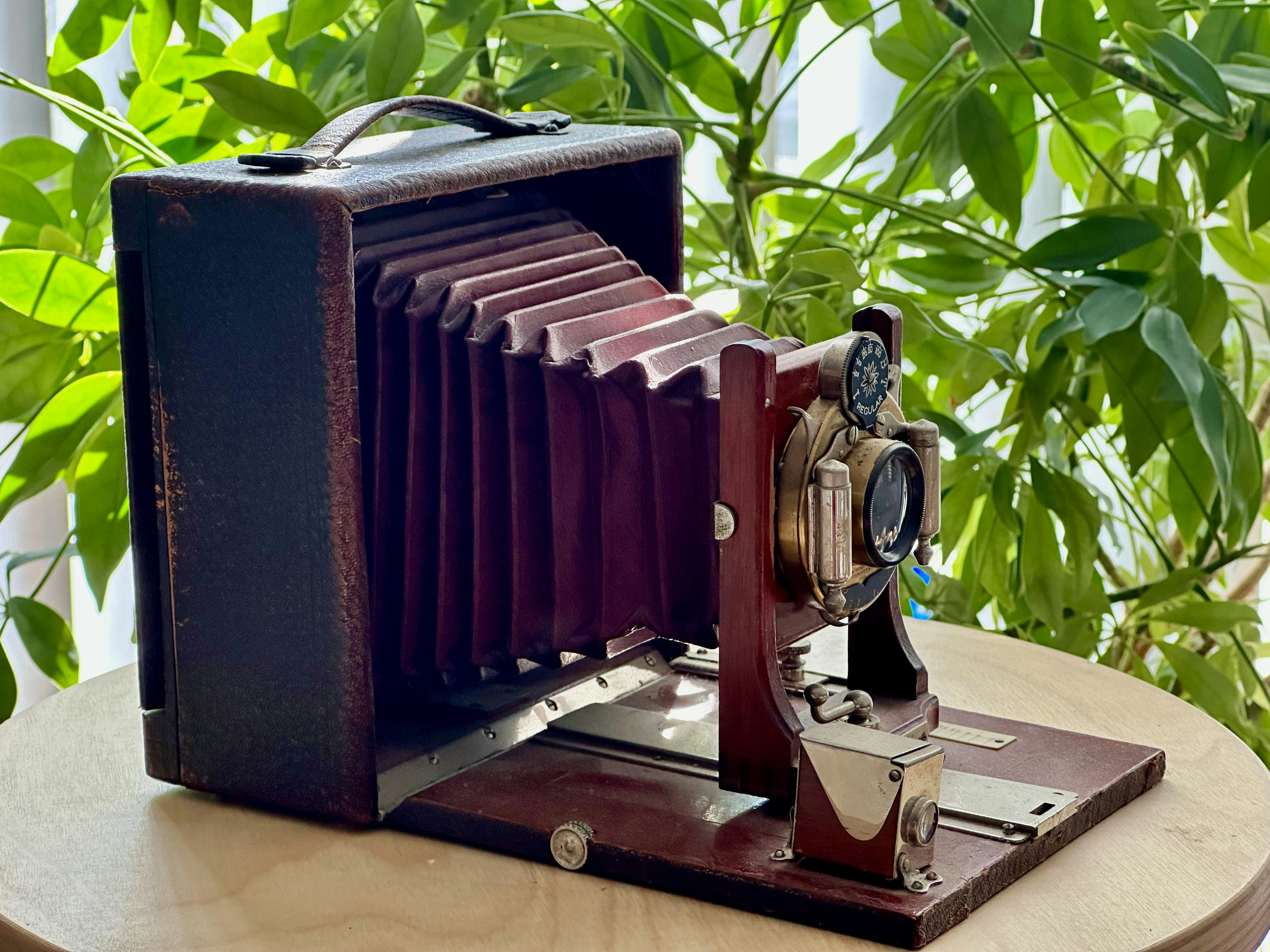 Photo by midkiffaries