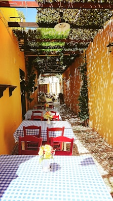 A charming outdoor cafe setting features a narrow walkway lined with tables covered in blue and white checkered cloths. Bright red chairs accompany each table, while flower arrangements in small vases add a touch of color. The space is shaded by a leafy canopy, casting intricate shadows on the ground and yellow walls, enhancing the rustic, Mediterranean ambiance.