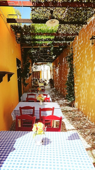 A charming outdoor cafe setting features a narrow walkway lined with tables covered in blue and white checkered cloths. Bright red chairs accompany each table, while flower arrangements in small vases add a touch of color. The space is shaded by a leafy canopy, casting intricate shadows on the ground and yellow walls, enhancing the rustic, Mediterranean ambiance.