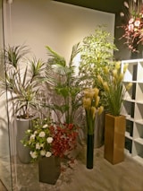 A variety of potted plants displayed in a cozy flower shop corner.