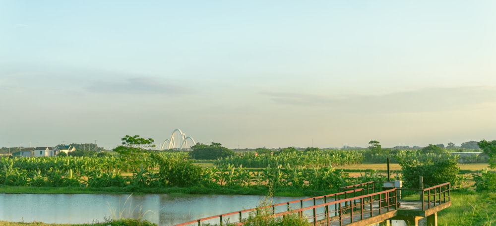 a wooden bridge over a body of water