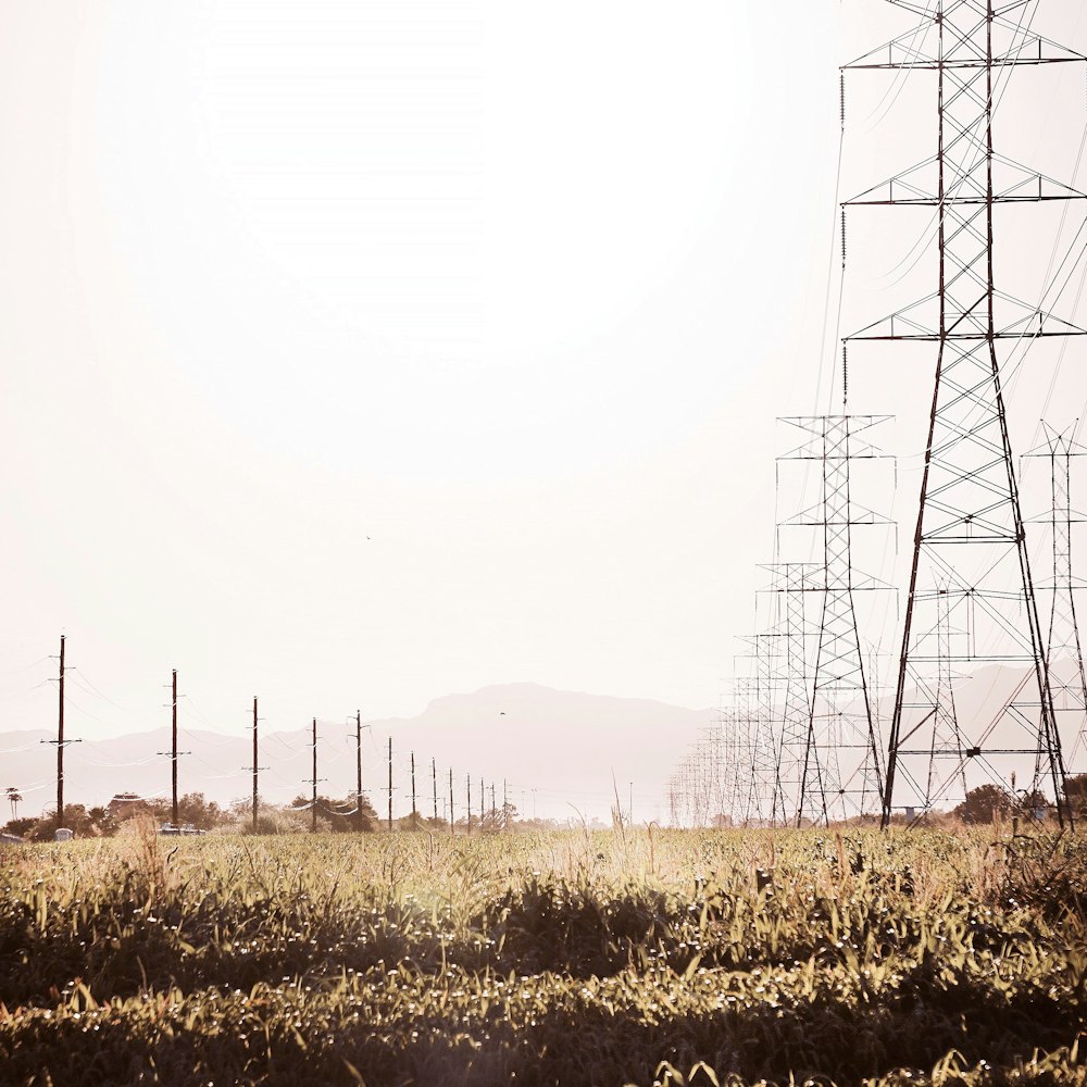 a field of grass with power lines in the background