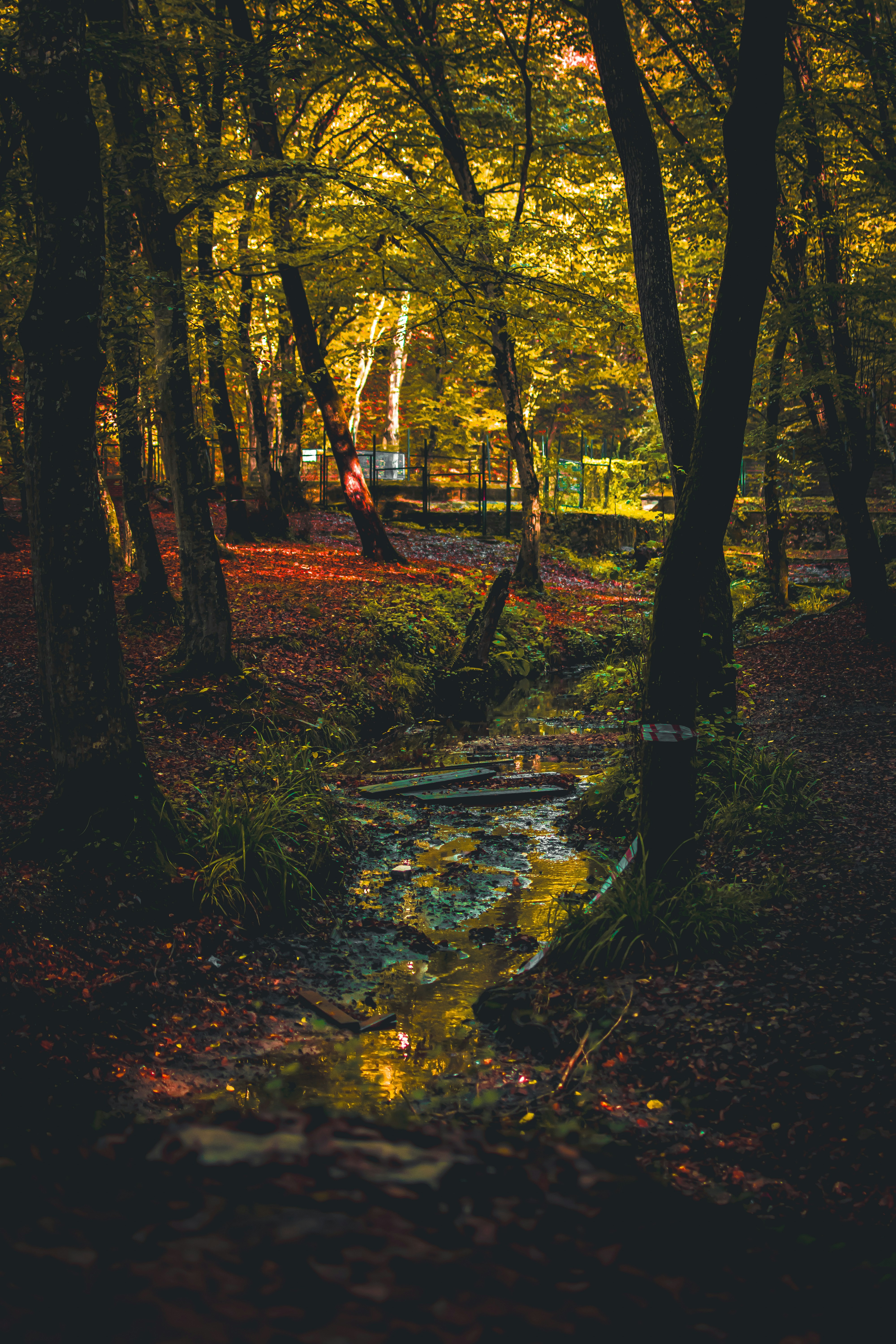 Photo by hammerbloodfist