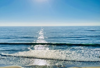 A serene view of clear ocean water gently lapping against the shore under a soft morning light.