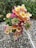A cluster of vibrant lantana flowers with petals transitioning from pink to orange and yellow. The flowers are surrounded by lush green leaves and set against a textured stone background.