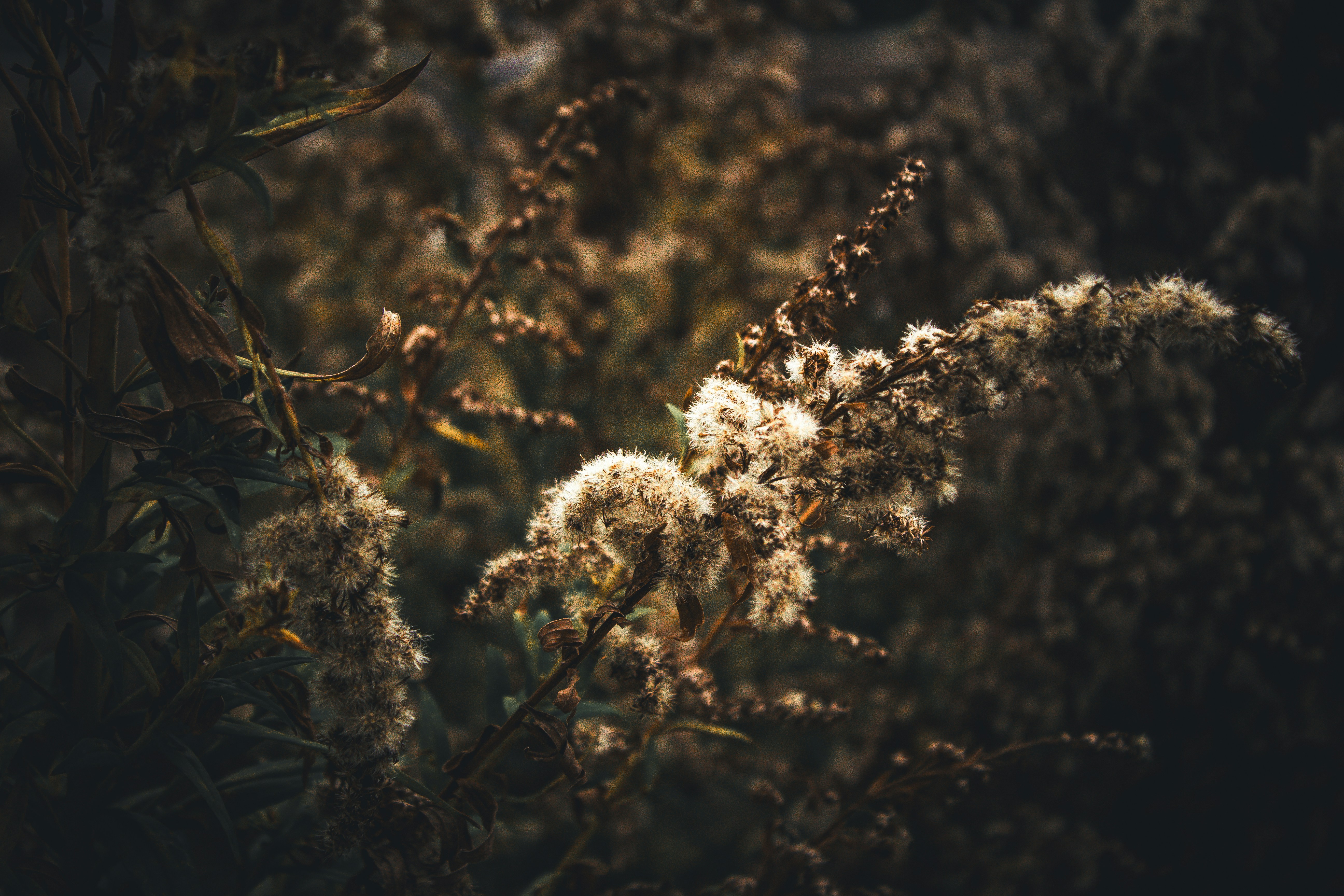 Photo by cheesycheesecake