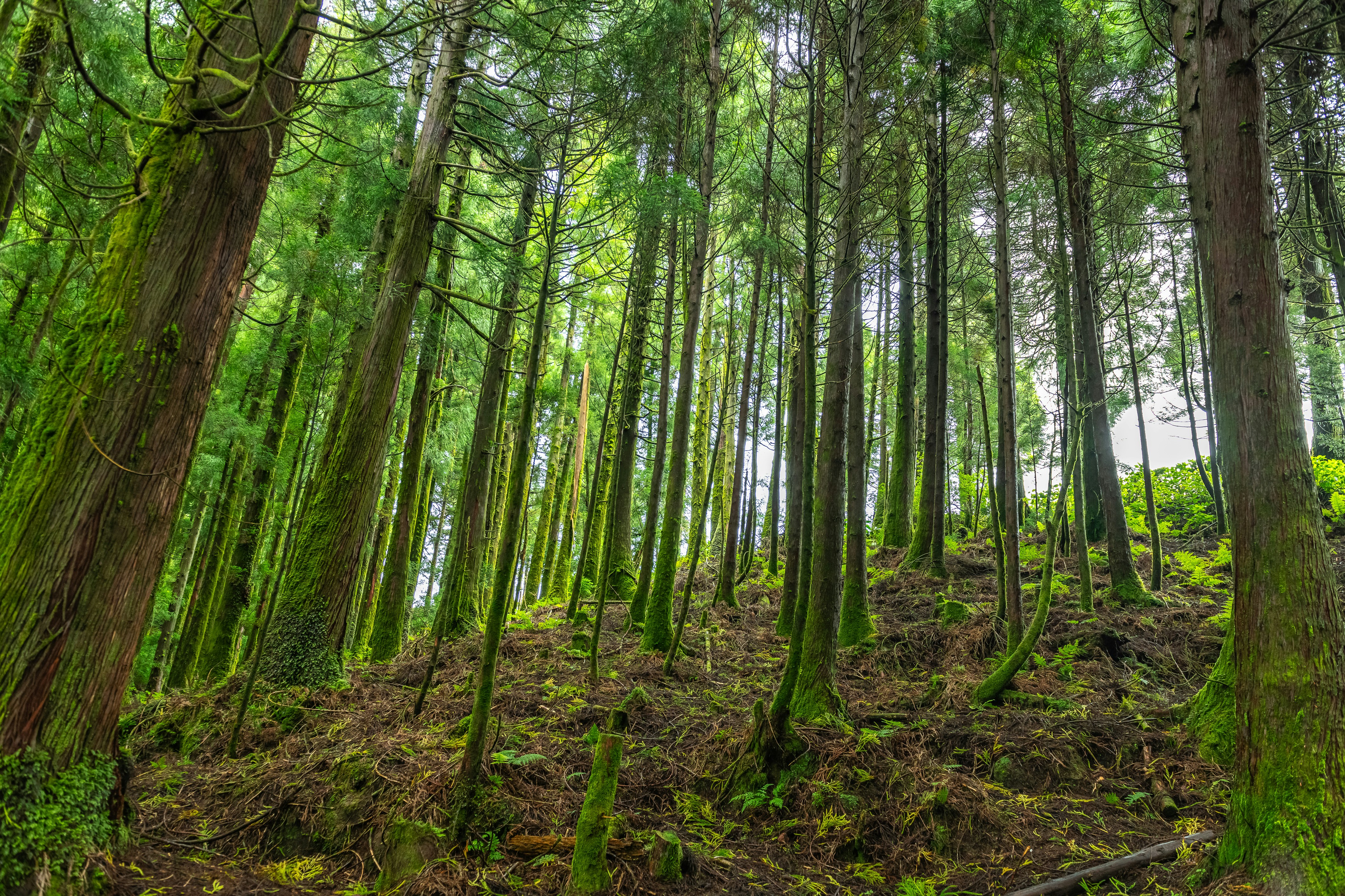 Photo by nikonprophoto