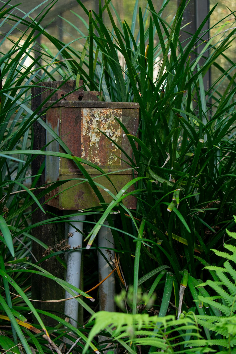 a rusted out box sitting in the middle of a forest