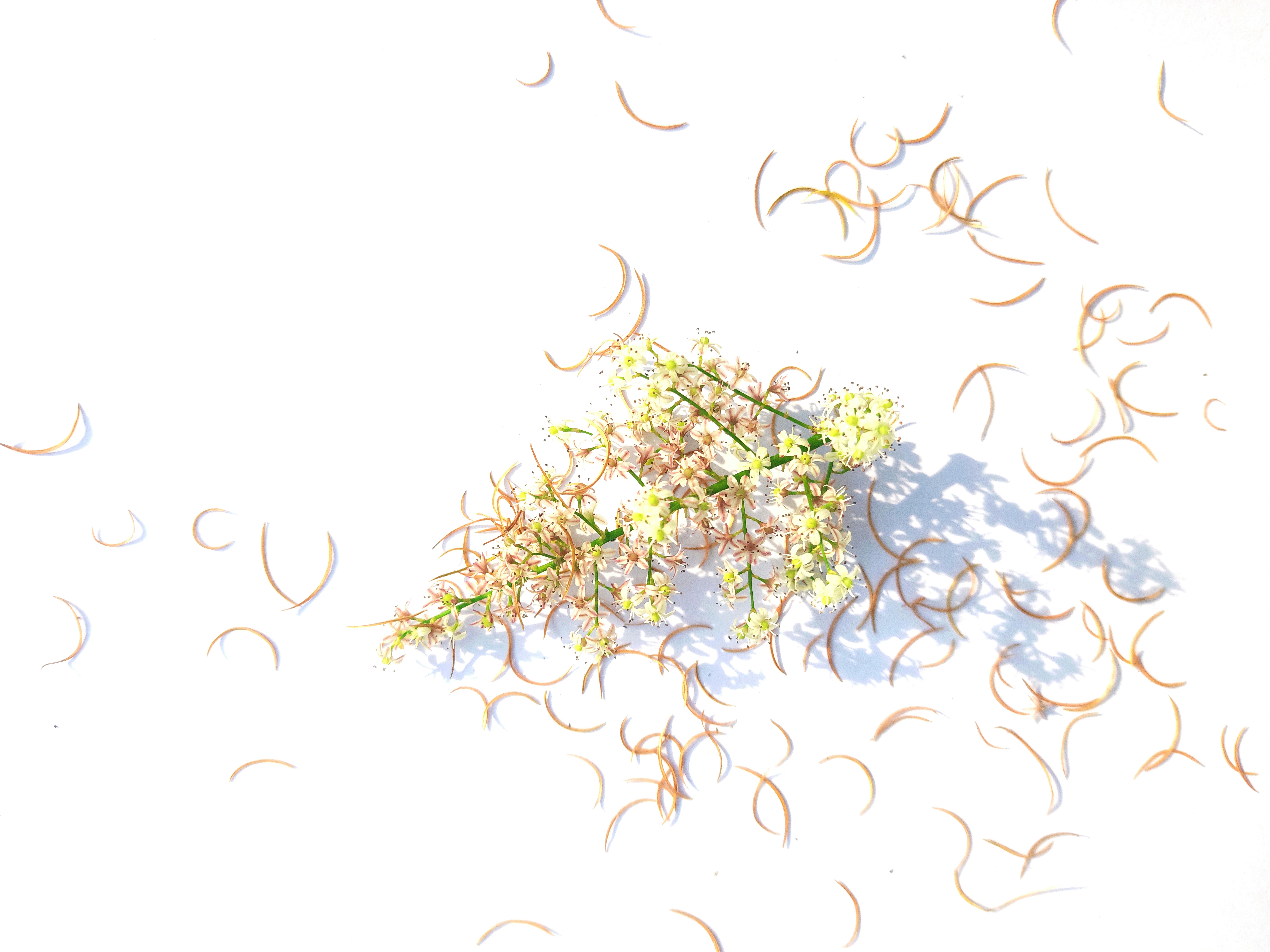 Photo by thakurramraj7rt