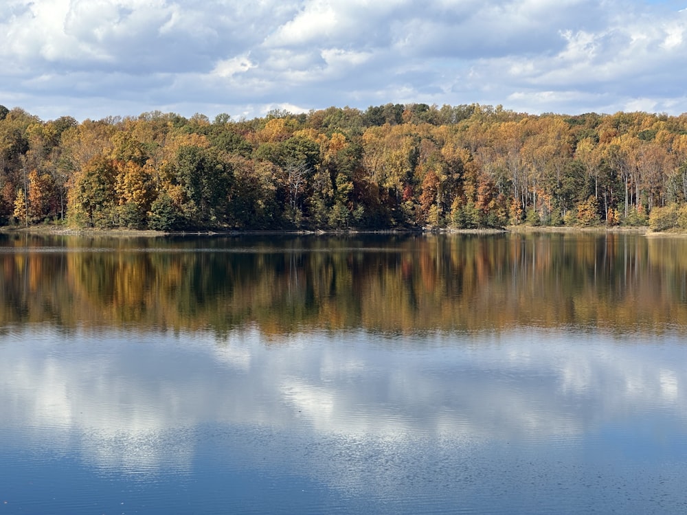 un plan d’eau entouré de nombreux arbres