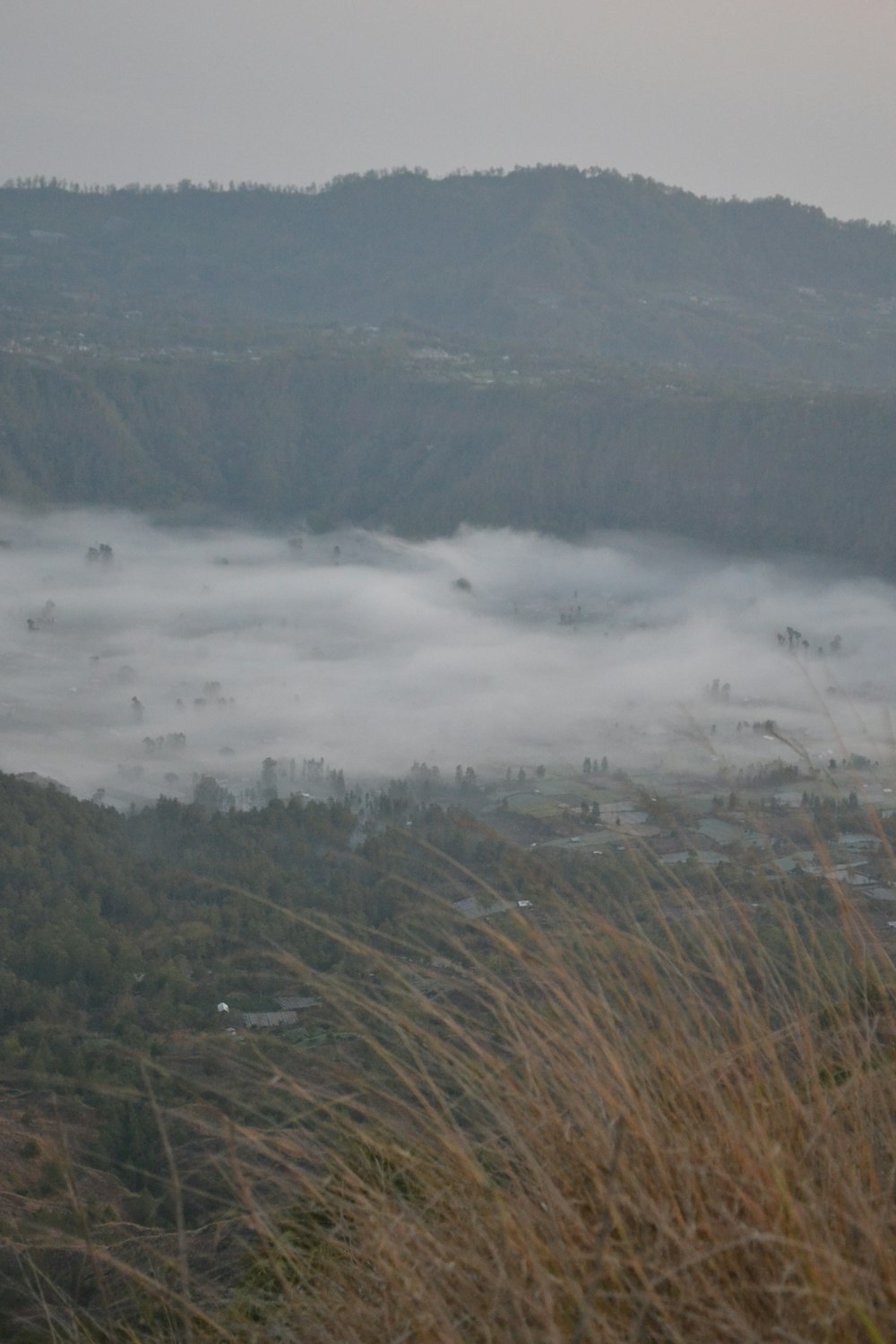 a view of a foggy valley with trees in the distance
