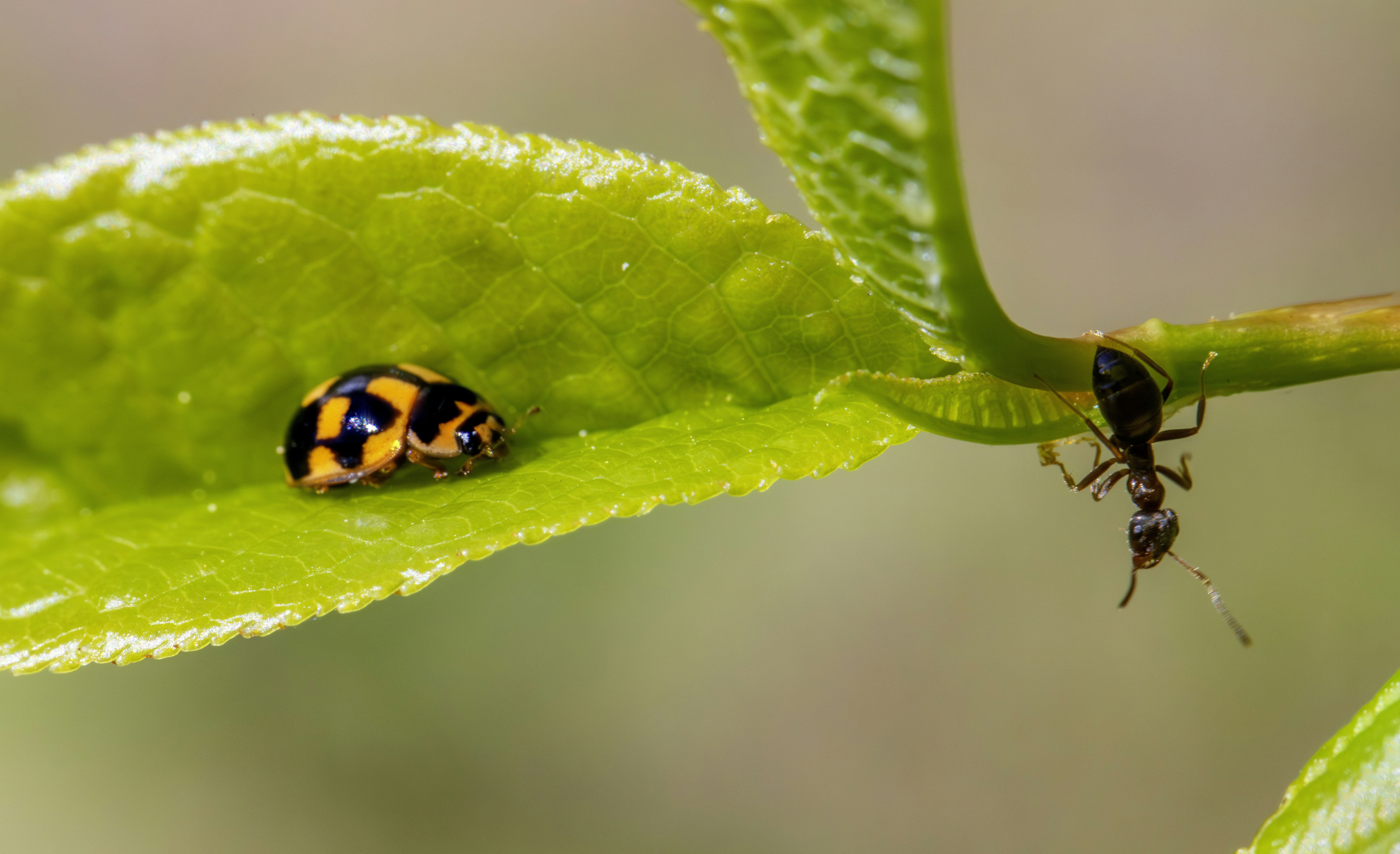 Photo by erik_karits