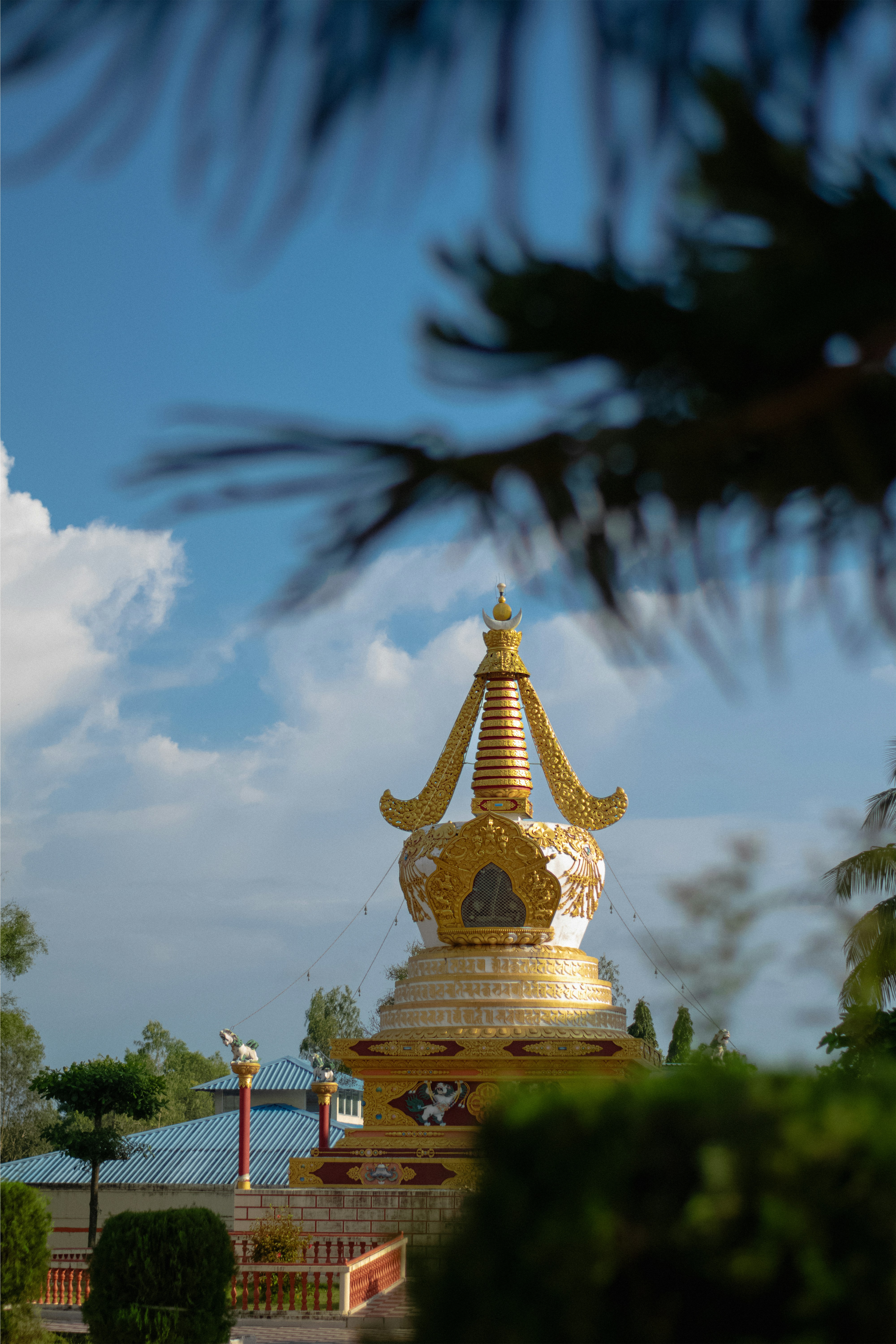 Photo by nimmafotugrapher