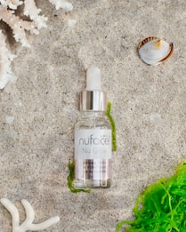 A glass bottle of skin serum with a dropper cap is placed on a sandy beach surface, surrounded by a piece of coral, a brown and white seashell, and vibrant green seaweed.