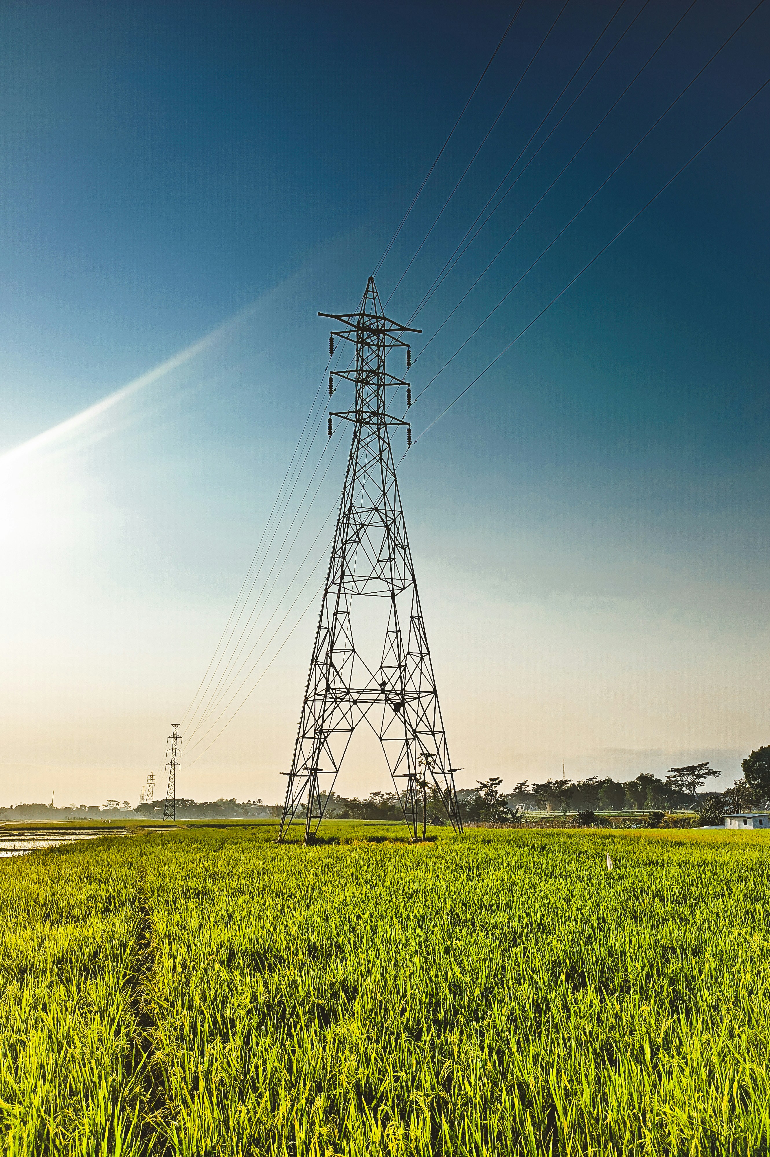 a large field of green grass with a power line in the background