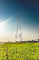 Transmission towers stretching across a lush African landscape under a clear blue sky.