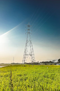Transmission towers stretching across a lush African landscape under a clear blue sky.