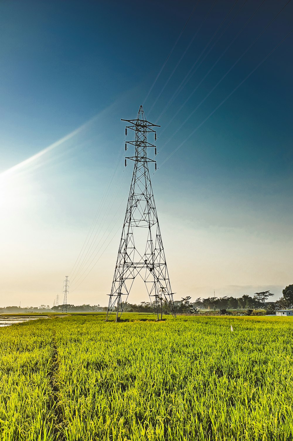 a large field of green grass with a power line in the background