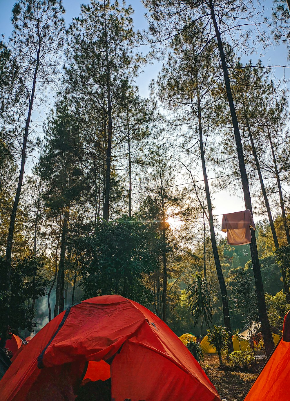 a group of tents set up in the woods