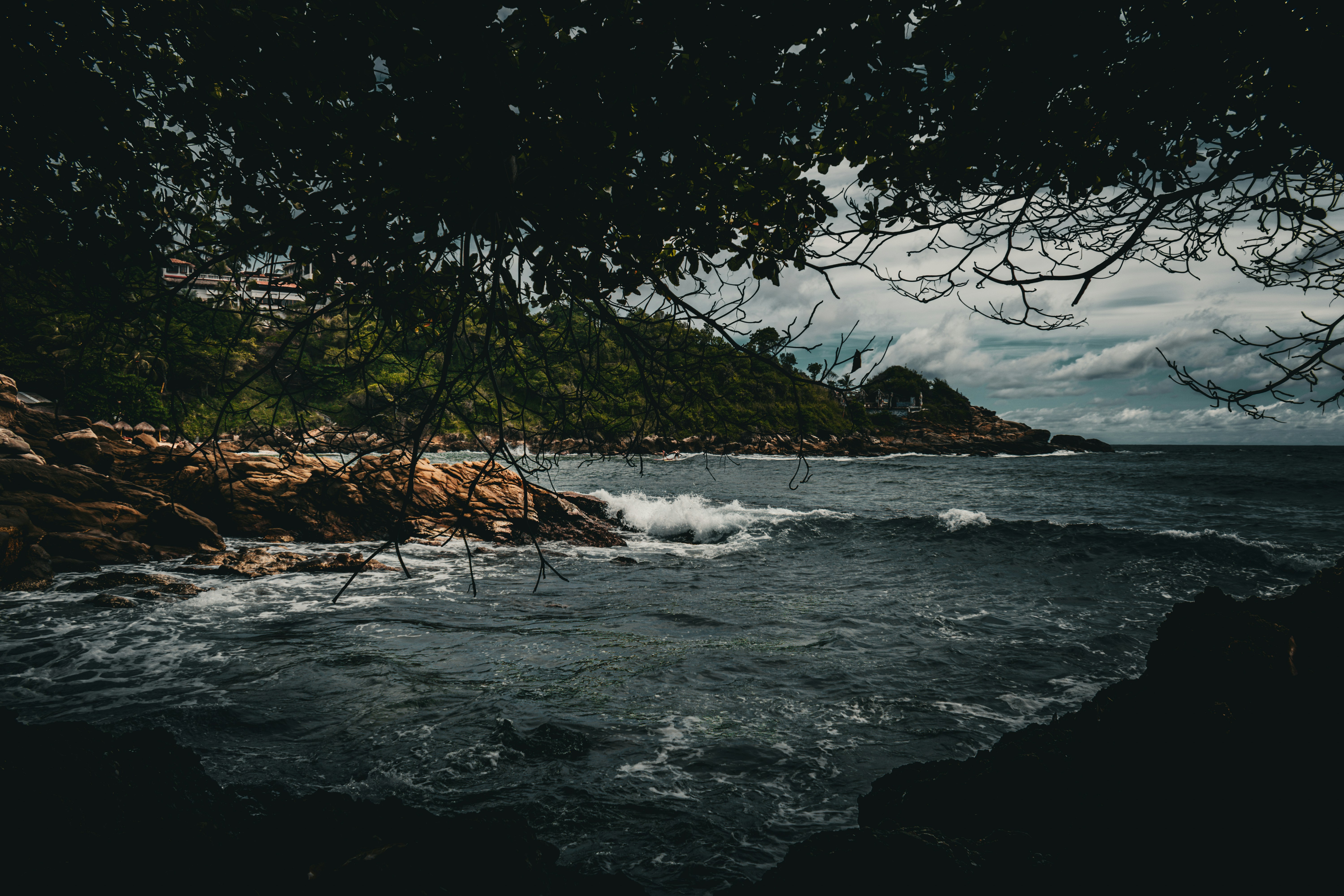 a body of water surrounded by trees and rocks