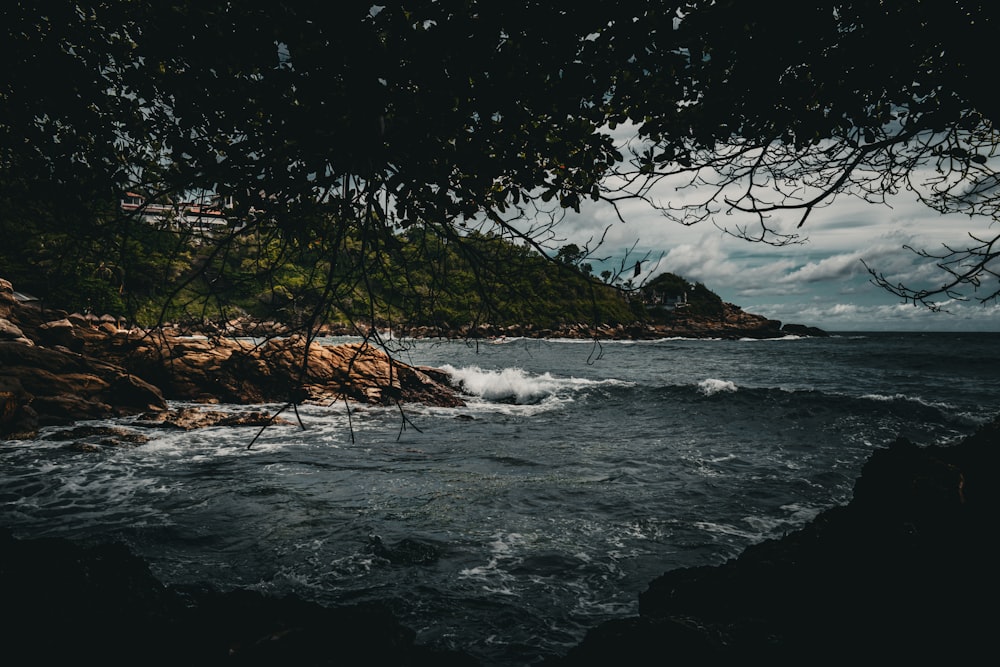 a body of water surrounded by trees and rocks