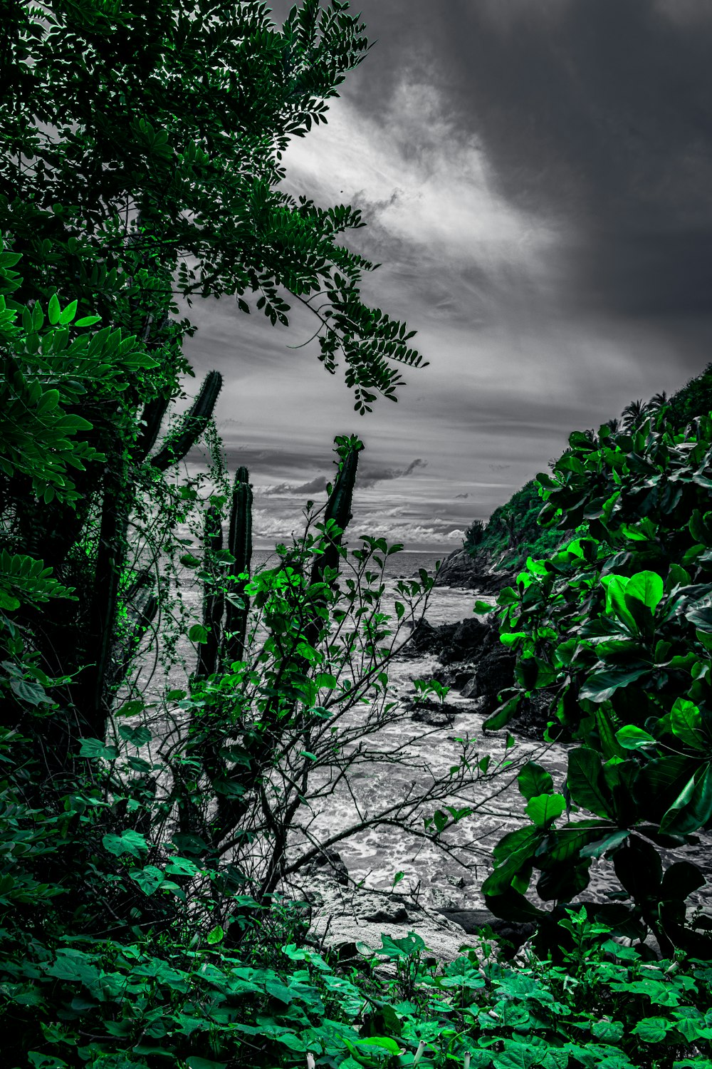 a black and white photo of the ocean