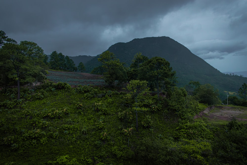 a dark sky over a lush green hillside