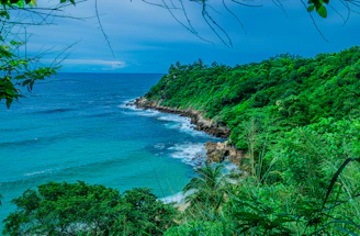 a view of the ocean from a cliff