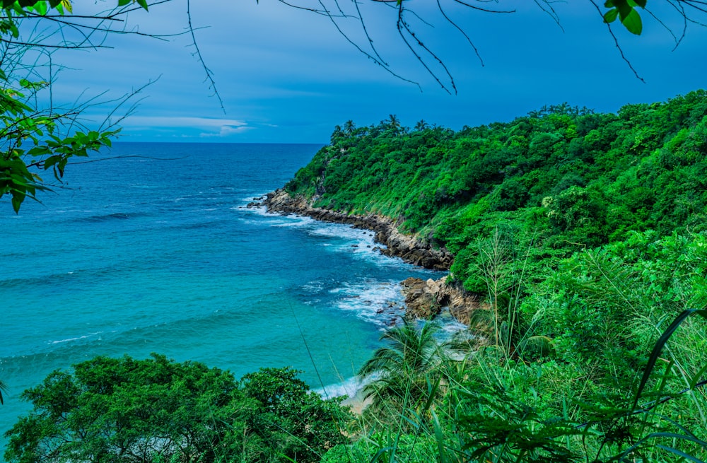 a view of the ocean from a cliff