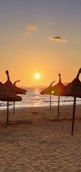 a group of straw umbrellas sitting on top of a sandy beach