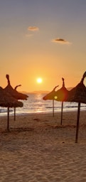 a group of straw umbrellas sitting on top of a sandy beach