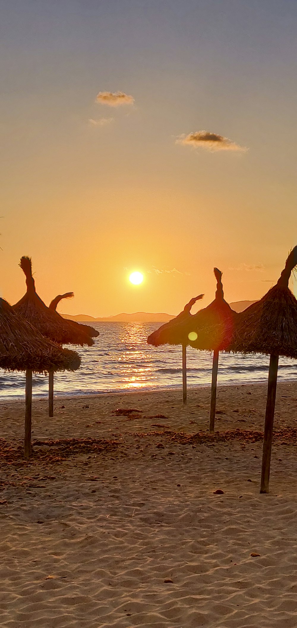 un grupo de sombrillas de paja sentadas en la parte superior de una playa de arena