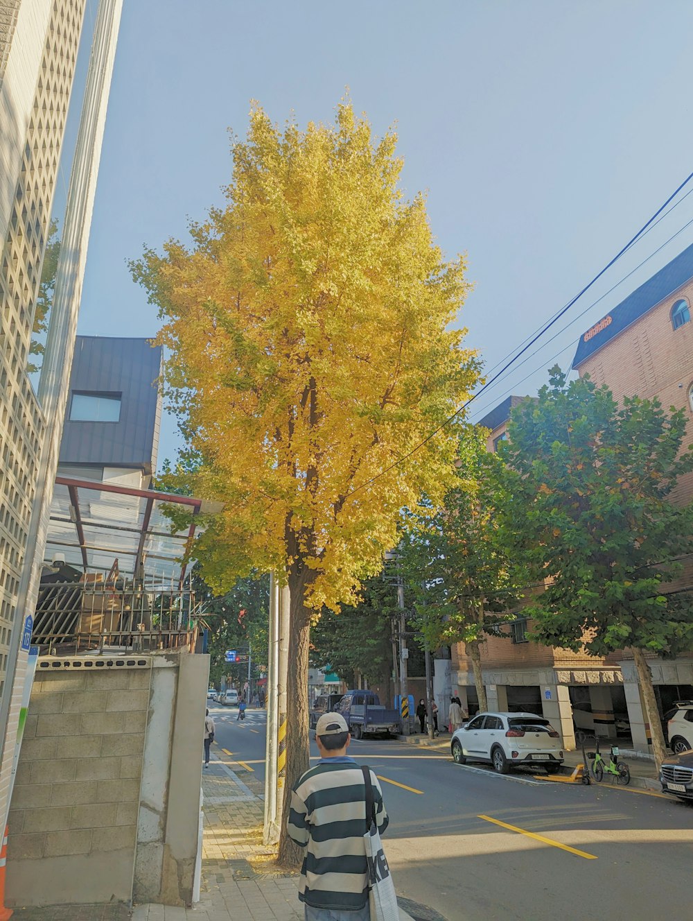 a man walking down a street next to a tall tree