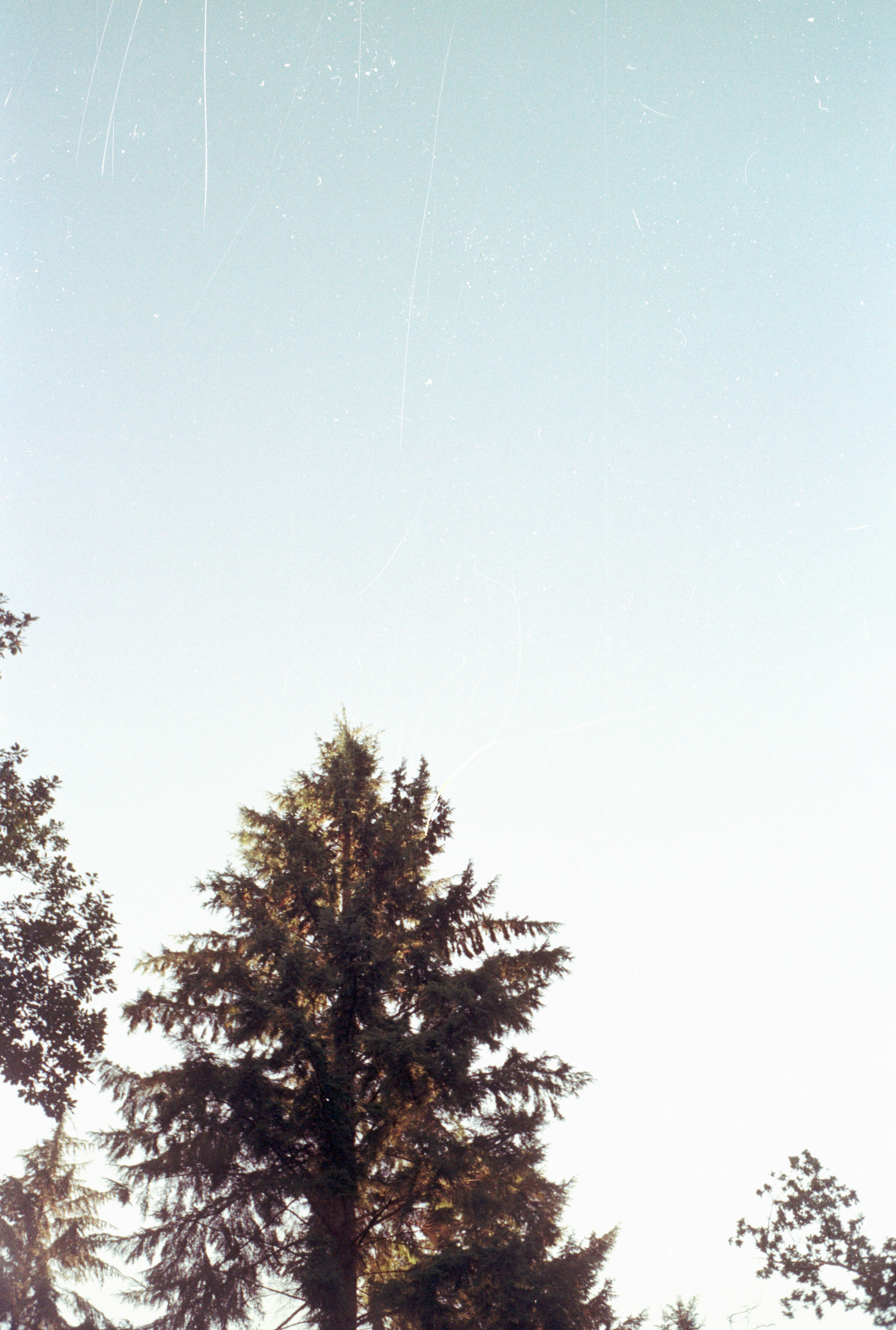 Photo by anniespratt