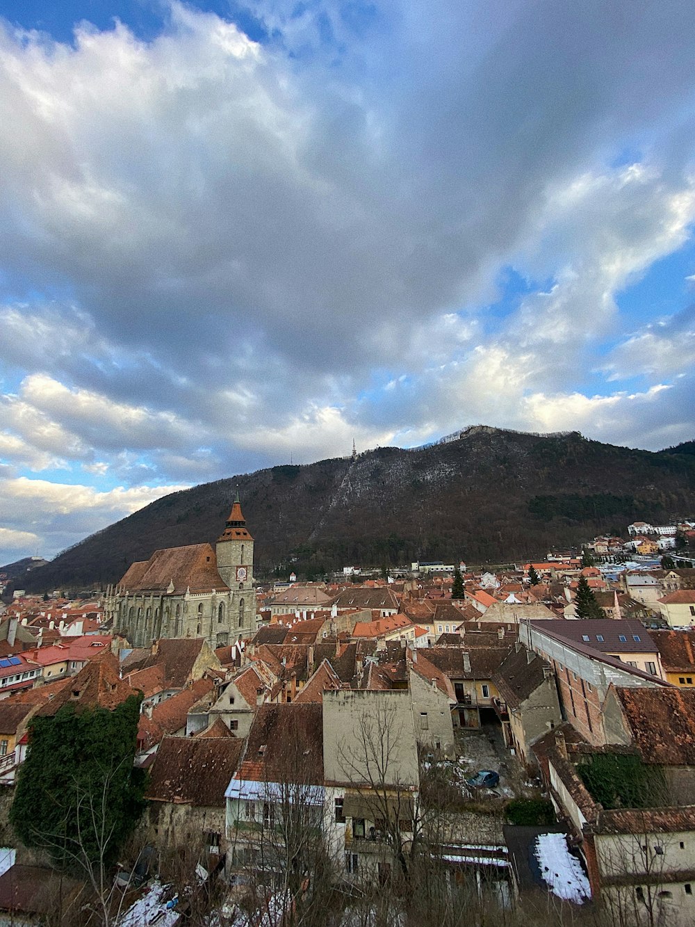 a view of a city with a mountain in the background