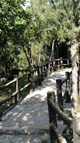 An inviting pathway lined with soft greenery leading to a private, sunlit seating nook.