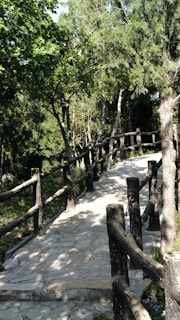 An inviting pathway lined with soft greenery leading to a private, sunlit seating nook.