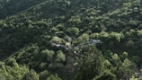 A vibrant green landscape symbolizing connectivity and technology.