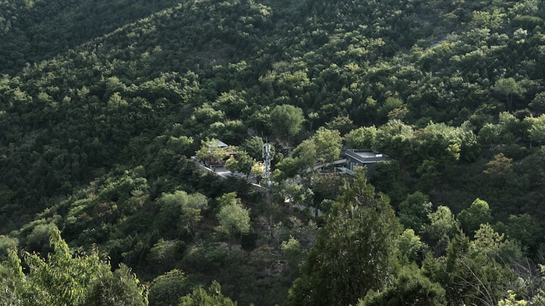 A vibrant green landscape symbolizing connectivity and technology.