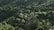 A serene landscape showcasing lush greenery and a thriving ecosystem, symbolizing regeneration and sustainability.