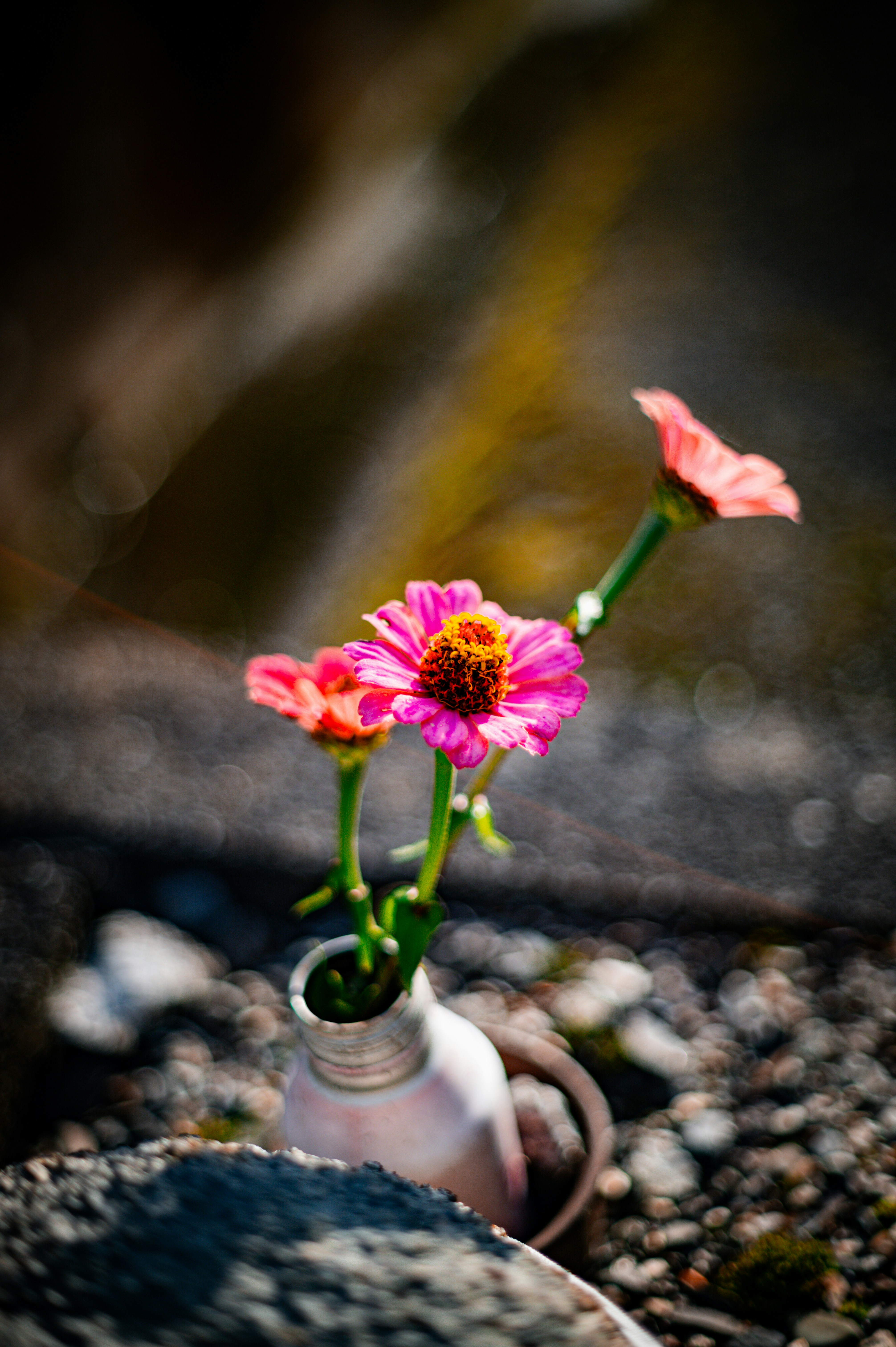 セレッソ 大阪 ジュニア ユニフォーム