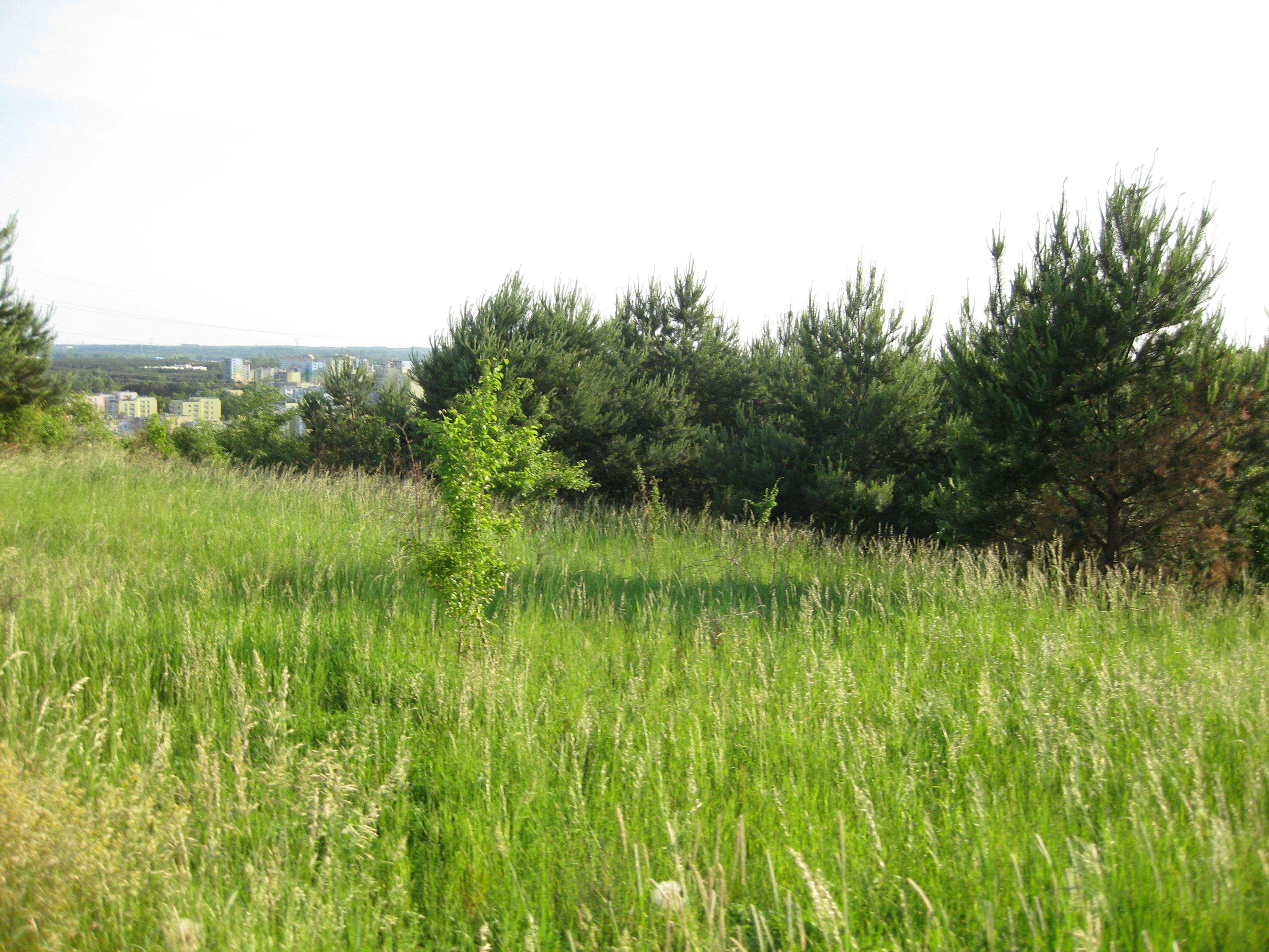 Photo by thehouseofthewitch