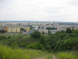 An urban landscape with a mix of residential and commercial buildings spread across a valley, bordered by lush greenery in the foreground. The skyline extends toward the horizon under a slightly overcast sky, with power lines cutting across the top of the image.
