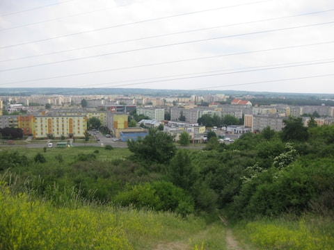 An urban landscape with a mix of residential and commercial buildings spread across a valley, bordered by lush greenery in the foreground. The skyline extends toward the horizon under a slightly overcast sky, with power lines cutting across the top of the image.