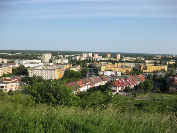 A panoramic view of Vivanta Township showcasing lush green spaces and modern homes under a clear blue sky.