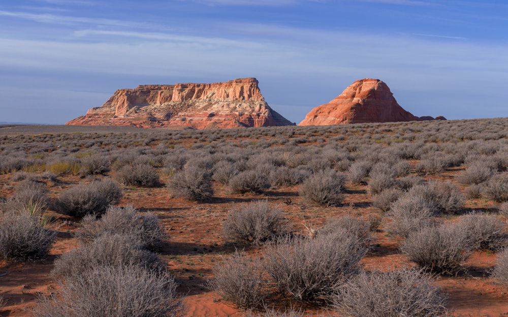 a desert landscape with a mountain in the background