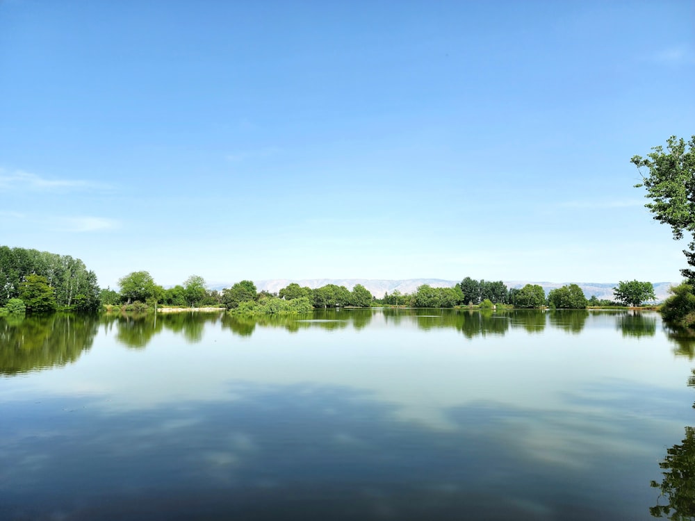 a large body of water surrounded by trees