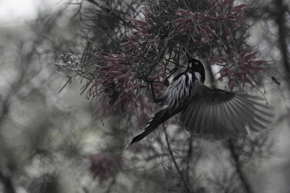 a bird flying through a tree filled with purple flowers