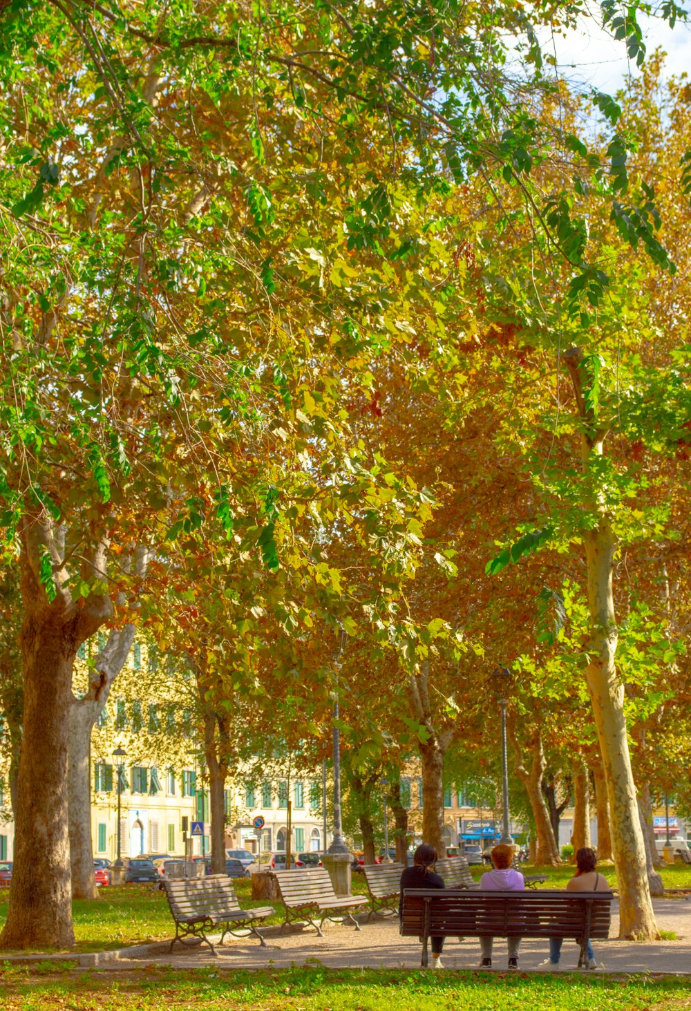 two people sitting on a bench in a park